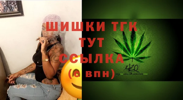 твердый Мегион