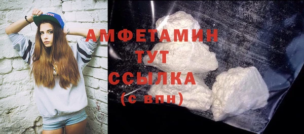 твердый Мегион