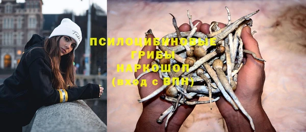 твердый Мегион