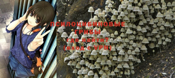 ПСИЛОЦИБИНОВЫЕ ГРИБЫ Майский