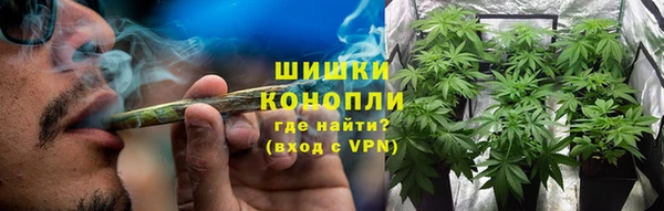 твердый Мегион