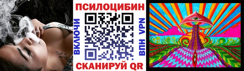 Галлюциногенные грибы мицелий hydra как войти Фрязино