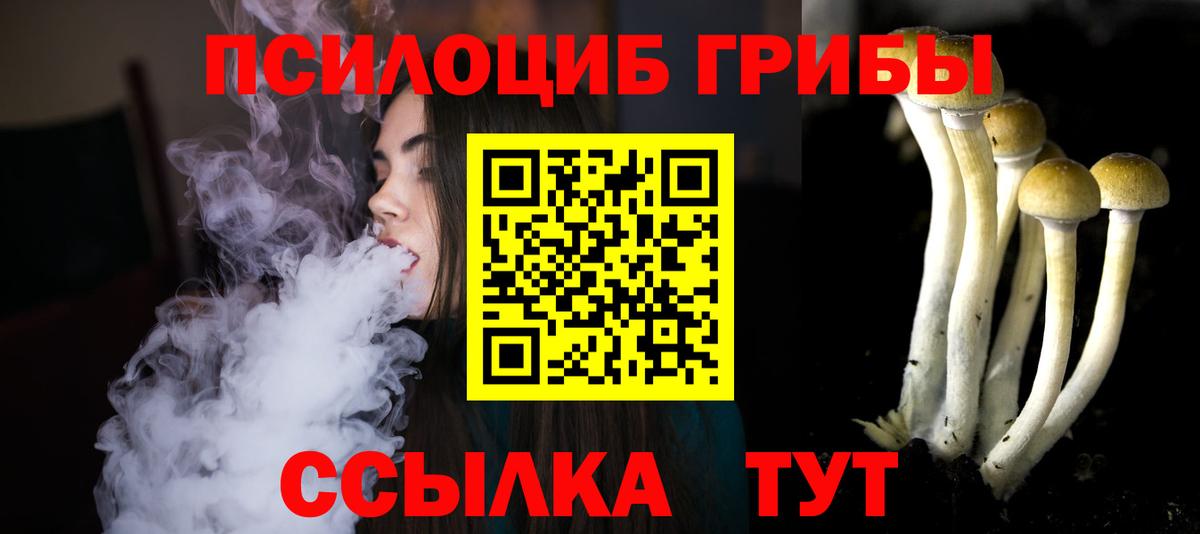 Псилоцибиновые грибы мицелий Фрязино